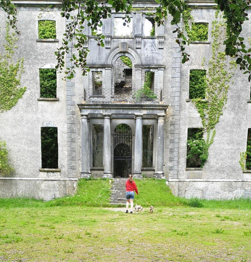 Reed Warbler Cottage Ballinrobe Esterno foto